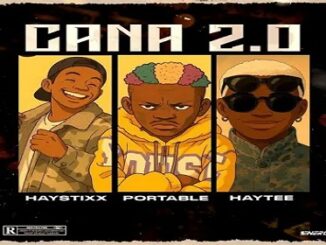 Haystixx – Cana (Remix) Ft. Portable & Haytee