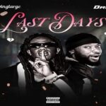 Kellylivinglarge – Last Days Ft. Dremo