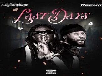 Kellylivinglarge – Last Days Ft. Dremo