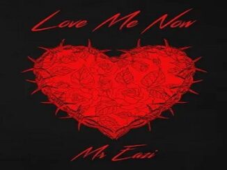 Mr Eazi – Love Me Now