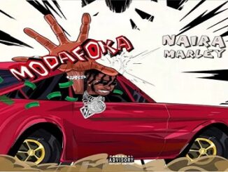 DOWNLOAD MP3: Naira Marley – Modafoka